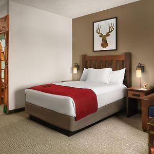 Kid Kamp Suite
